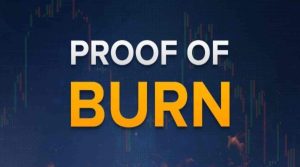 Proof of Burn (PoB) Consensus Mechanism: Explained